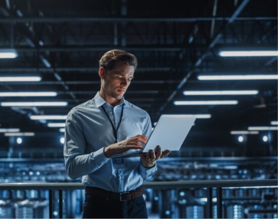 IT Professional Services Develop